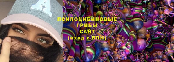 стафф Верхний Тагил