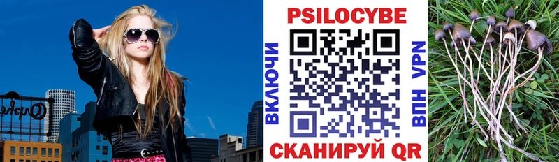 Галлюциногенные грибы Psilocybine cubensis Павлово